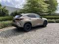 Lexus NX 350h Overtrail E-Four AWD CVT Brun - thumbnail 3