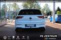 Volkswagen Golf VIII 2.0 TDI DSG GTD PANO DCC AHK CAM Navi Weiß - thumbnail 4