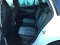 Skoda Octavia Combi 2.0 TDI DSG TOUR *MATRIX*AHK*360* Weiß - thumbnail 14
