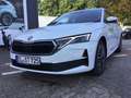 Skoda Octavia Combi 2.0 TDI DSG TOUR *MATRIX*AHK*360* Weiß - thumbnail 6