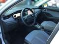 Skoda Octavia Combi 2.0 TDI DSG TOUR *MATRIX*AHK*360* Weiß - thumbnail 9