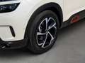 Citroen C5 Aircross C5 Aircross BlueHDI 180 S&S Feel EAT8 Aut. Weiß - thumbnail 10