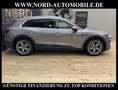 Audi e-tron QU. Teilleder/Kamera/21/Navi/LED/UPE83/ Gris - thumbnail 6