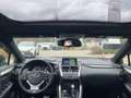 Lexus NX 200t AWD F-Sport Allwetter, Pano, LED, HUD - thumbnail 10