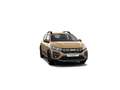 Dacia Sandero Stepway Extreme | Achteruitrijcamera | Cruise Cont Bruin - thumbnail 6