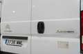 Citroen Jumper bluehdi 103kw (140cv) furgón 35l2 Blanco - thumbnail 6