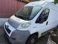 Peugeot Boxer HDi (335) Weiß - thumbnail 3