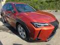 Lexus UX 200 UX+2020+250h+2.0+Business+2wd+cvt+my20 Portocaliu - thumbnail 8