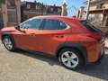 Lexus UX 200 UX+2020+250h+2.0+Business+2wd+cvt+my20 Portocaliu - thumbnail 5