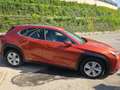 Lexus UX 200 UX+2020+250h+2.0+Business+2wd+cvt+my20 Portocaliu - thumbnail 6