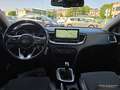 Kia KIA Ceed Berlina  Manual de 5 Puertas Gris - thumbnail 12