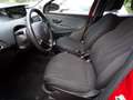 Lancia Ypsilon Gold Hybrid 1.0 firefly 70cv (KM. 21.215) Rojo - thumbnail 11
