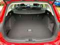 Ford Focus Turnier Active Rojo - thumbnail 12