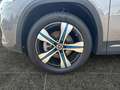 Mercedes-Benz EQA 250 Progressive Head-Up DAB LED RFK AHK Grigio - thumbnail 10