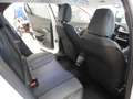 Peugeot 2008 2008 II 2020 1.5 bluehdi Allure s * Bianco - thumbnail 9