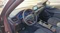 Ford Kuga 2.5 DURATEC 190 CH FLEXIFUEL FHEV E85 POWERSHIFT ST-LIN - thumbnail 15