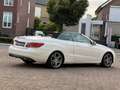 Mercedes-Benz E 200 Cabrio Edition Sport|Parelmoer Wit|Zwart Leer|Subl Blanco - thumbnail 19