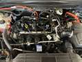 Ford Kuga 2.5 Duratec FHEV 4x4 TITANIUM Noir - thumbnail 14