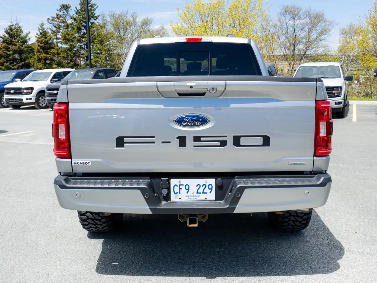 Ford F 150 снимка Ford F 150