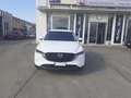 Mazda CX-5 *PROMO* 2.2L SA-D 150CV Signature Bianco - thumbnail 2