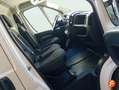 Opel Movano OPEL Blanco - thumbnail 12