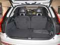 Volvo XC90 T8 AWD Facelift Plus Bright Blanc - thumbnail 11