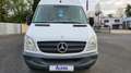 Mercedes-Benz 311 CDI (906.635) II Kasten HU Inspektion NEU Weiß - thumbnail 2