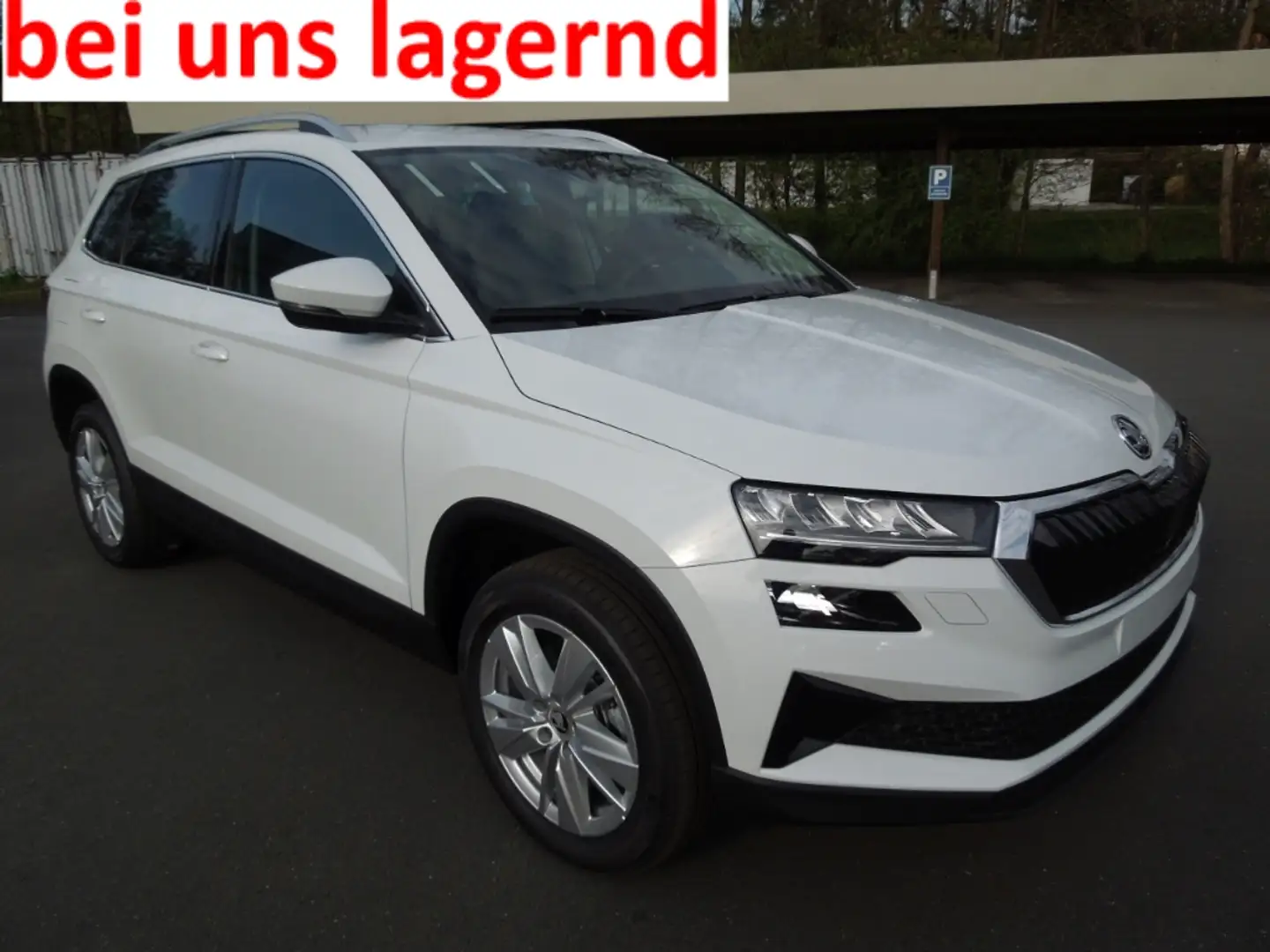 Skoda Karoq 2.0TDI DSG TopSelection/LED/AHK/Navi/Kamera Weiß - 1