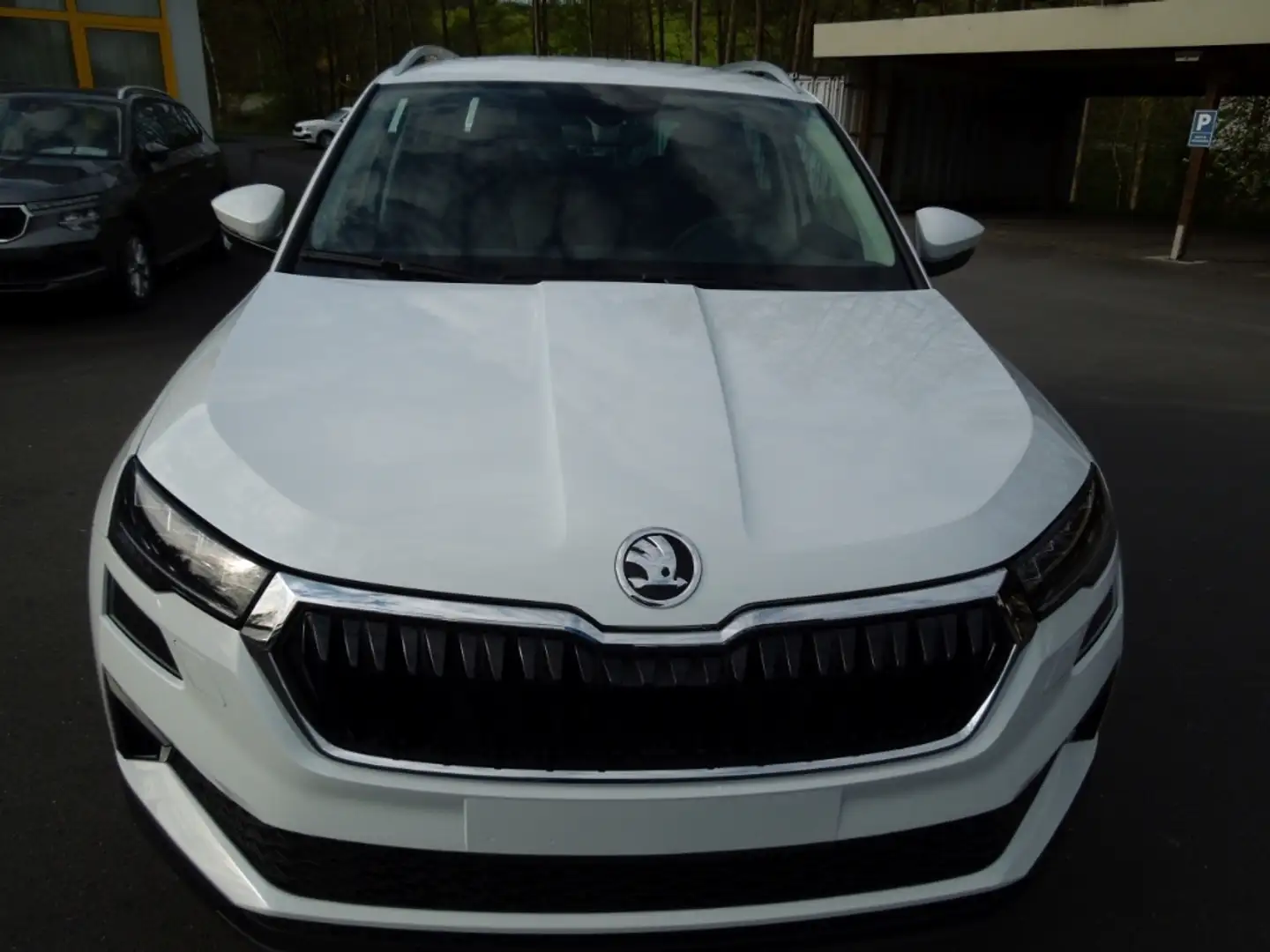 Skoda Karoq 2.0TDI DSG TopSelection/LED/AHK/Navi/Kamera Weiß - 2