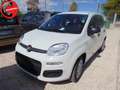 Fiat Panda 1.0 FireFly S&S Hybrid Schwarz - thumbnail 3