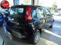 Fiat Panda 1.0 FireFly S&S Hybrid Schwarz - thumbnail 6