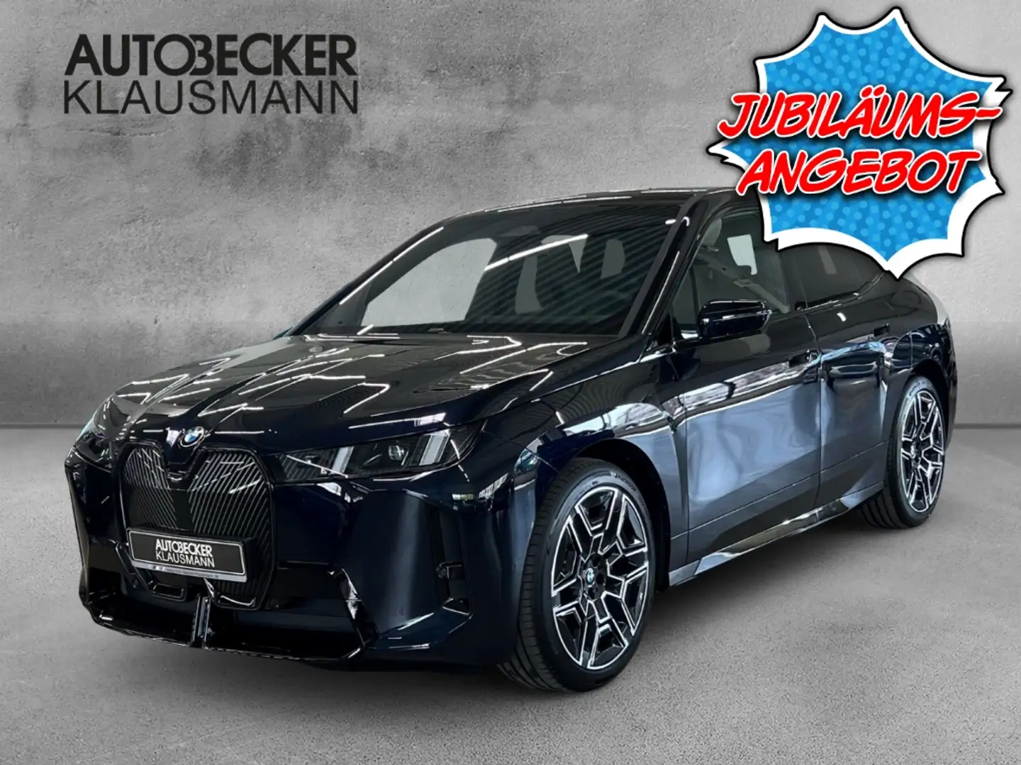 BMW iX XDRIVE45 M Sport LMR 22'' AHK Navi Soundsystem Har Negro - 1