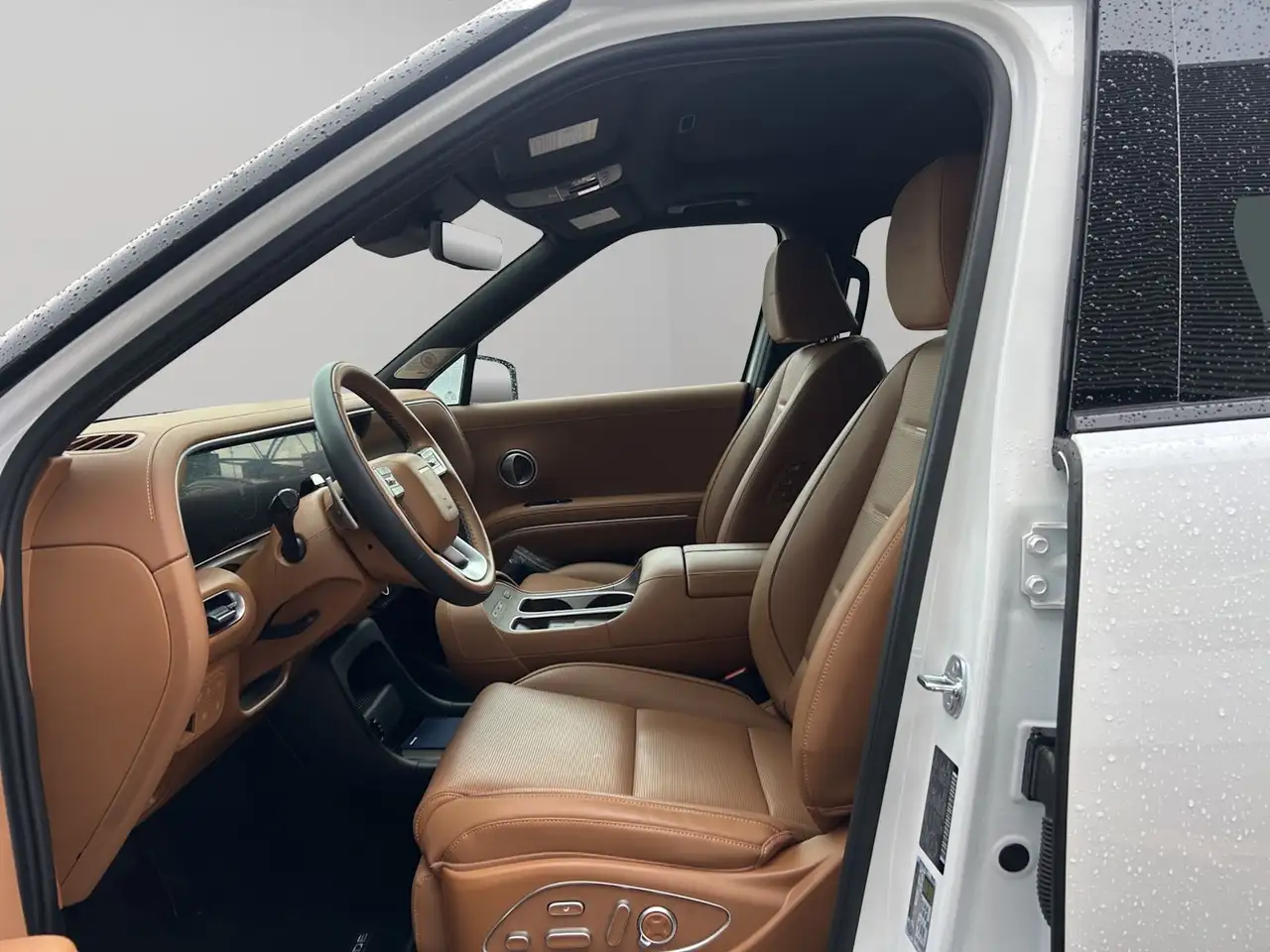 Hyundai PALISADE Hybrid снимка Hyundai PALISADE Hybrid