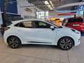 Ford Puma 1.0 EcoBoost ST-Linie LED Navi SHZ KlimaA Blanc - thumbnail 6