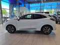 Ford Puma 1.0 EcoBoost ST-Linie LED Navi SHZ KlimaA Blanc - thumbnail 10