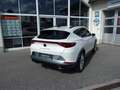 CUPRA Formentor FORMENTOR 1.5 TSI DSG ACC KAMERA SPURWECHSELASS. Blanc - thumbnail 2