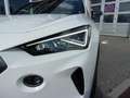 CUPRA Formentor FORMENTOR 1.5 TSI DSG ACC KAMERA SPURWECHSELASS. Blanc - thumbnail 14