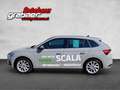 Skoda Scala Selection Grau - thumbnail 2