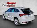 Skoda Scala Selection Grau - thumbnail 3