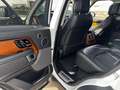 Land Rover Range Rover Range Rover Vogue Autobiography Bianco - thumbnail 19