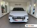 Audi e-tron 55 300 kW Business Weiß - thumbnail 1