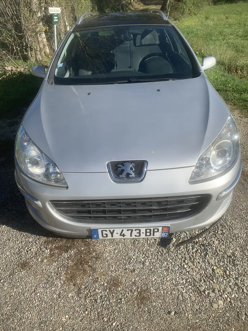 Peugeot 407 SW 1.6 HDi 16V 110ch FAP Confort Pack - 2