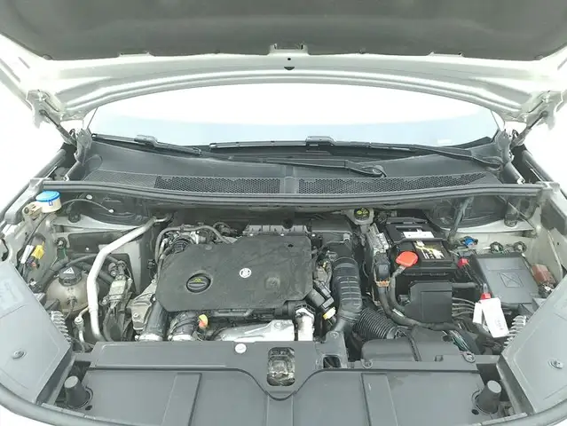 DS Automobiles DS 7 Crossback view 13