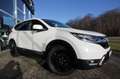 Honda CR-V Elegance 1.5 VTEC 2WD OPF Weiß - thumbnail 2