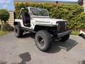 Jeep Wrangler Wrangler 4.0 Blanc - thumbnail 2