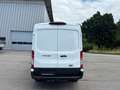 Ford Transit Transit Kasten 2,0 EcoBlue L3H2 350 Trend Weiß - thumbnail 7