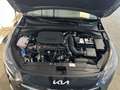 Kia Ceed SW / cee'd SW 1.5 T-GDI Spin Navi DAB SHZ LenkradHZG Schwarz - thumbnail 14