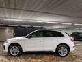 Audi Q5 50 TFSI e quattro S line Matrix virtCo B&O Weiß - thumbnail 3