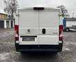 Peugeot Boxer 330 L1H1 Premium BlueHDi 120 Blanc - thumbnail 7
