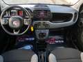 Fiat Panda Panda III 2021 1.0 firefly hybrid City Life s Grigio - thumbnail 9
